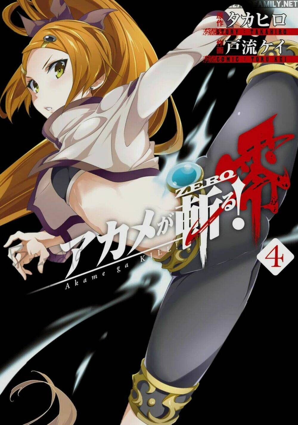 akame ga kill! zero chapter 21: - người thừa kế - Trang 2