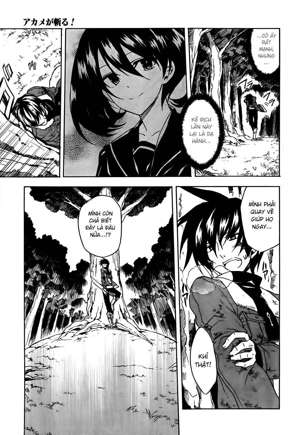 Akame Ga Kiru Chapter 32 - Next Chapter 33