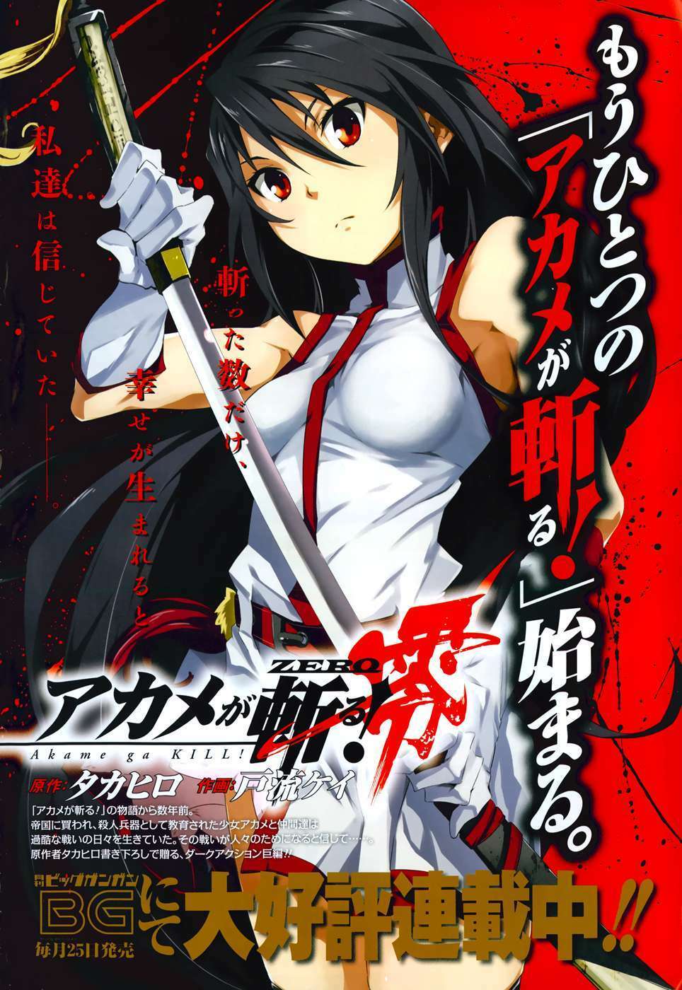 Akame Ga Kiru Chapter 45 - Next Chapter 46