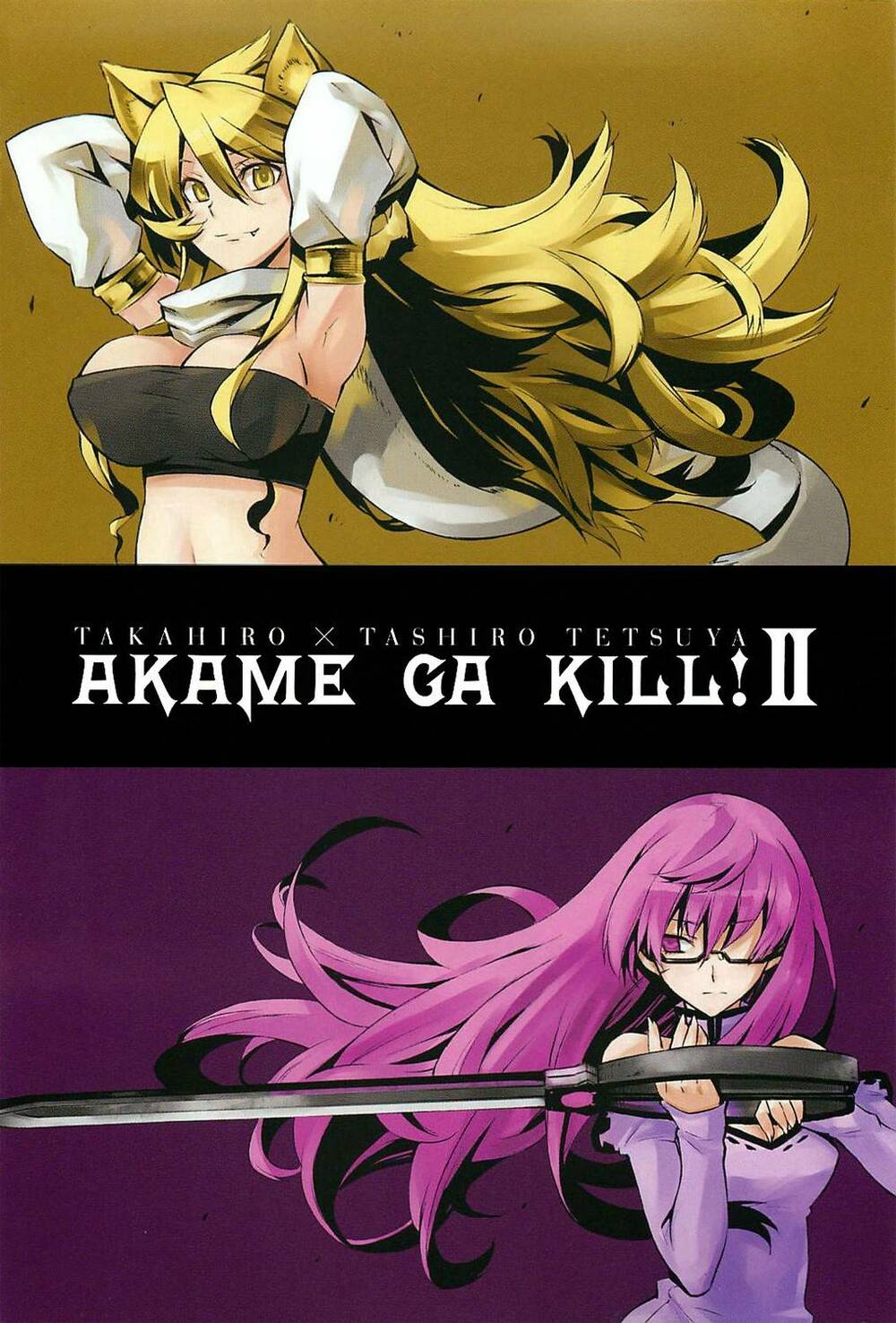 Akame Ga Kiru Chapter 5 - Next Chapter 6