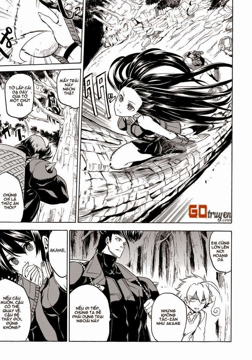 Akame Ga Kiru Chapter 53.6 - Next Chapter 54