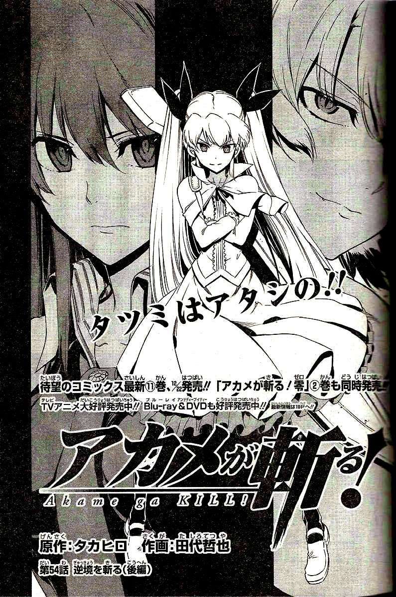 Akame Ga Kiru Chapter 54 - Next Chapter 55