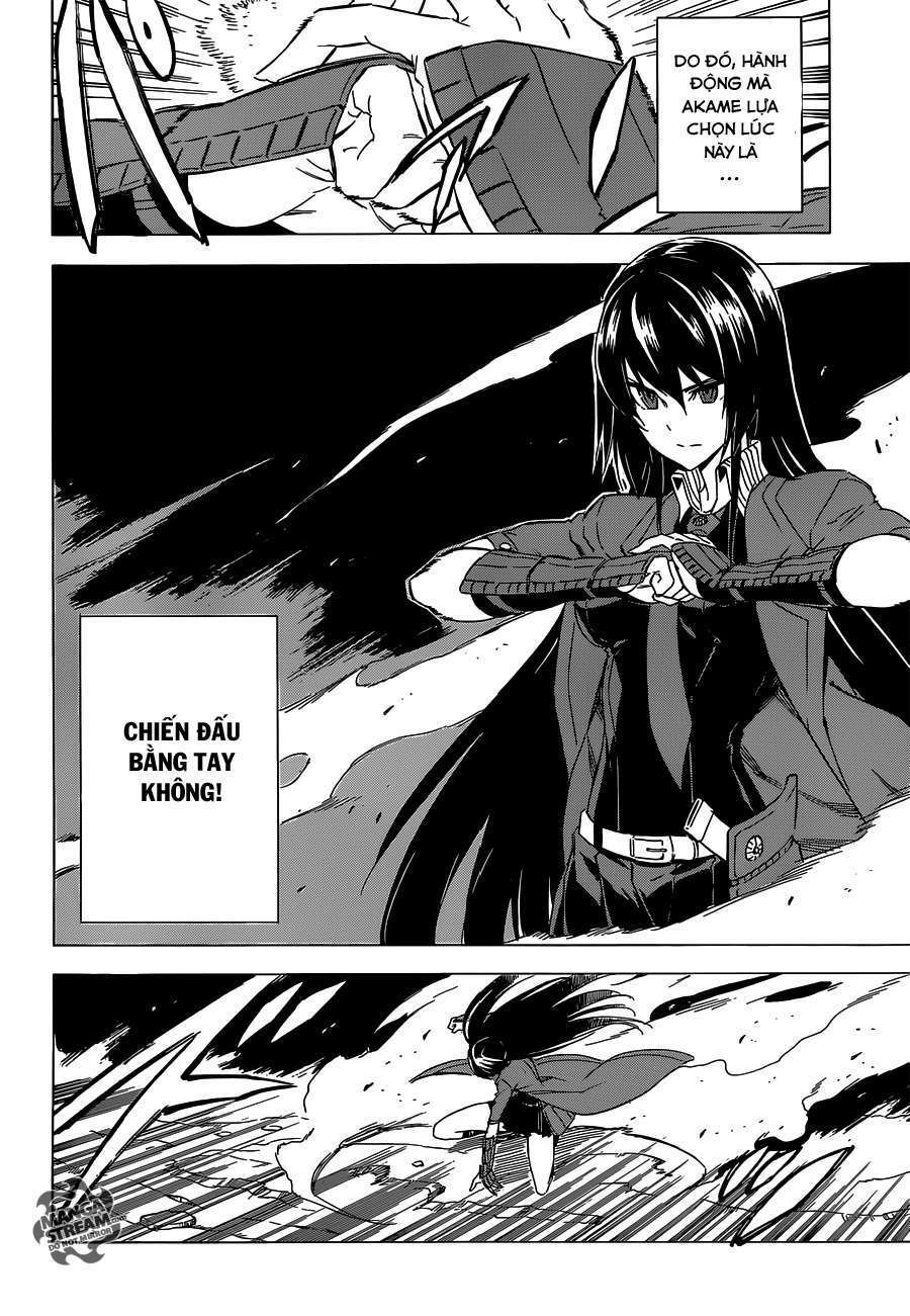 Akame Ga Kiru Chapter 59.1 - Next Chapter 59.2