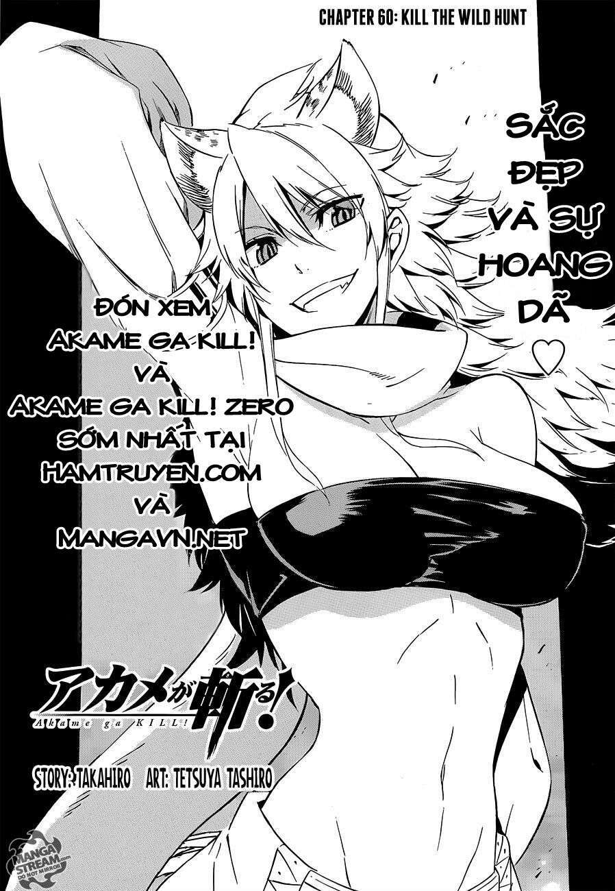 Akame Ga Kiru Chapter 60 - Next Chapter 61