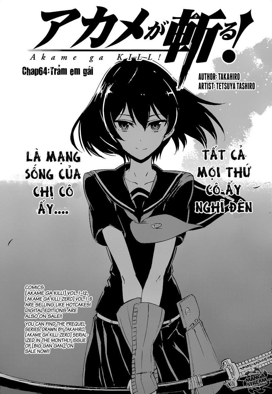 Akame Ga Kiru Chapter 64 - Next Chapter 65