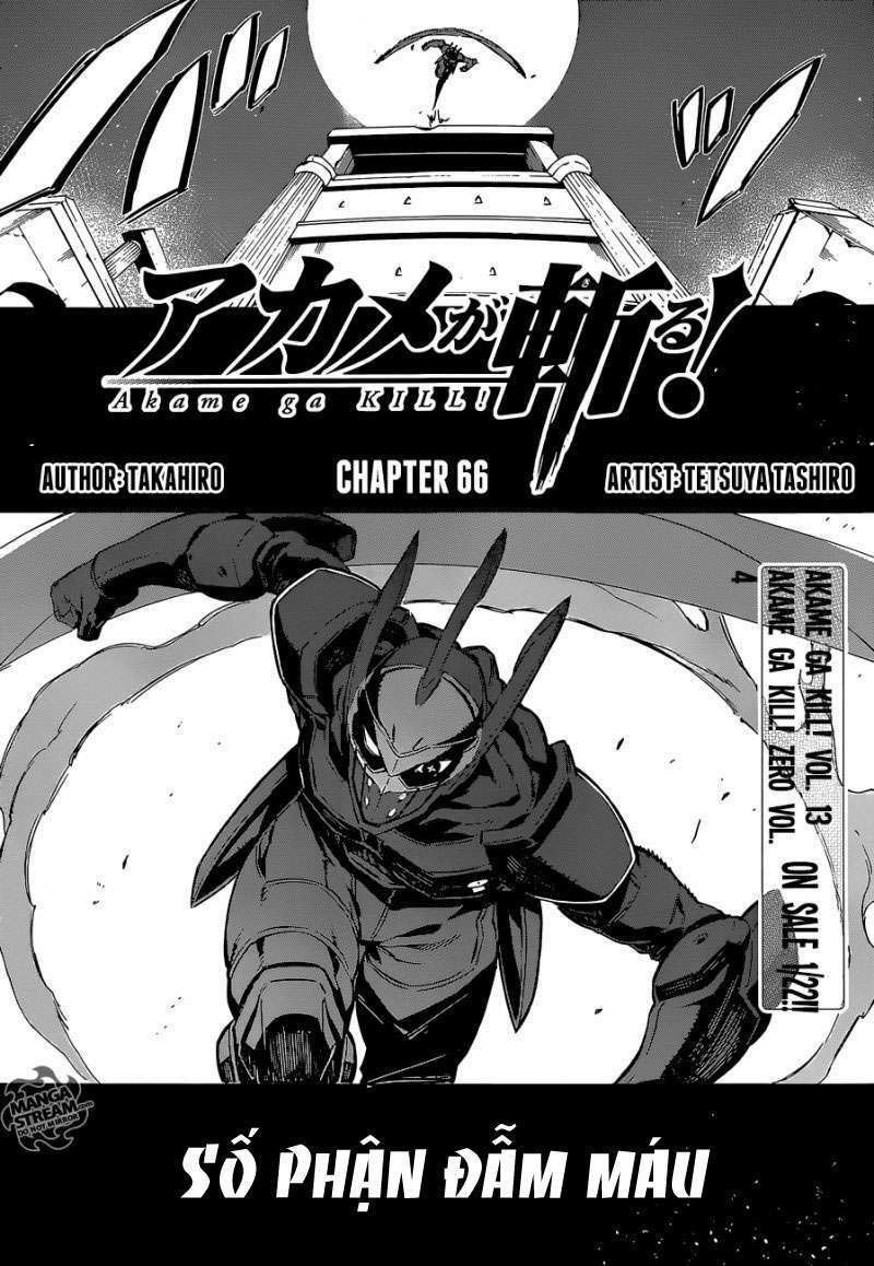 Akame Ga Kiru Chapter 66 - Next Chapter 67