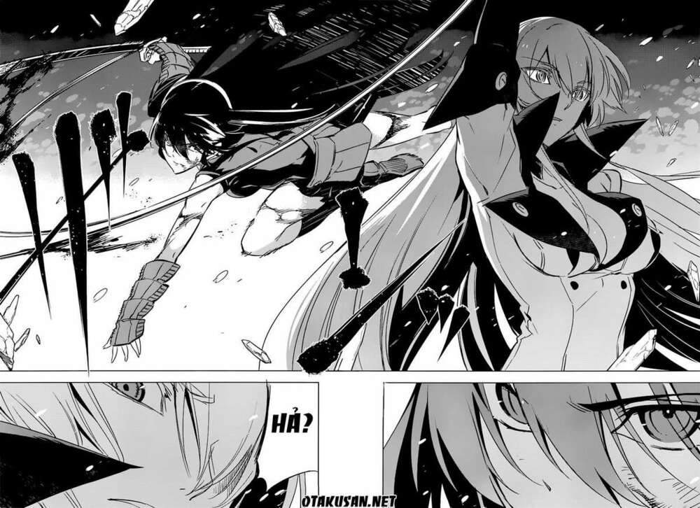 Akame Ga Kiru Chapter 76.5 - Next Chapter 77