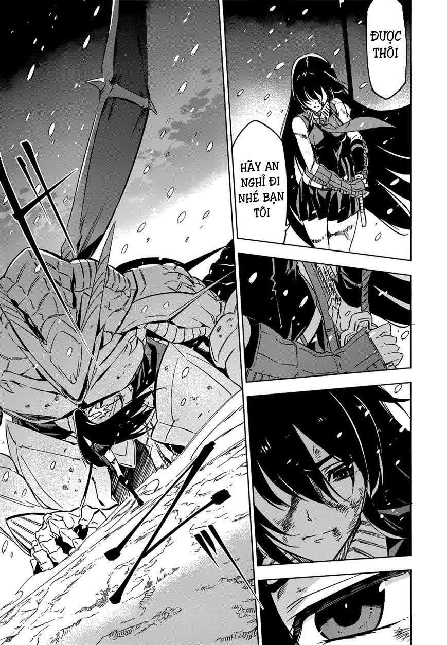 Akame Ga Kiru Chapter 76.5 - Next Chapter 77