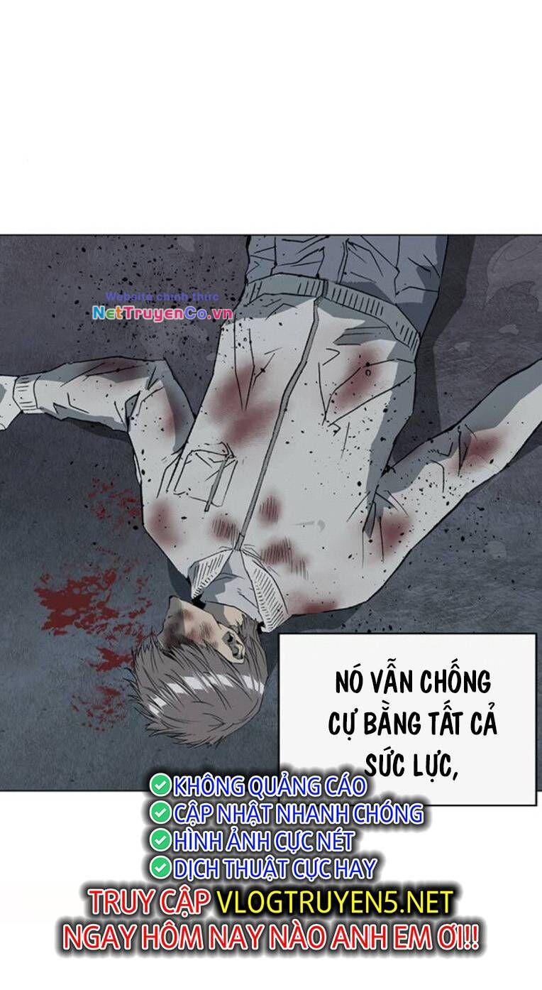 anh hùng yếu chương 254 - Next Chapter 255