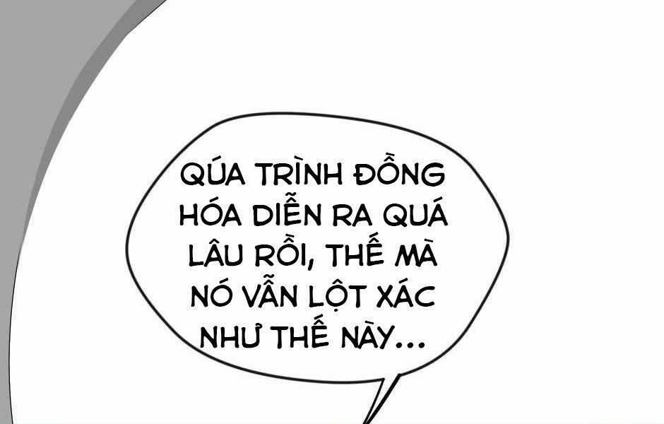 ánh sáng cuối con đường chapter 123 - Next chapter 124