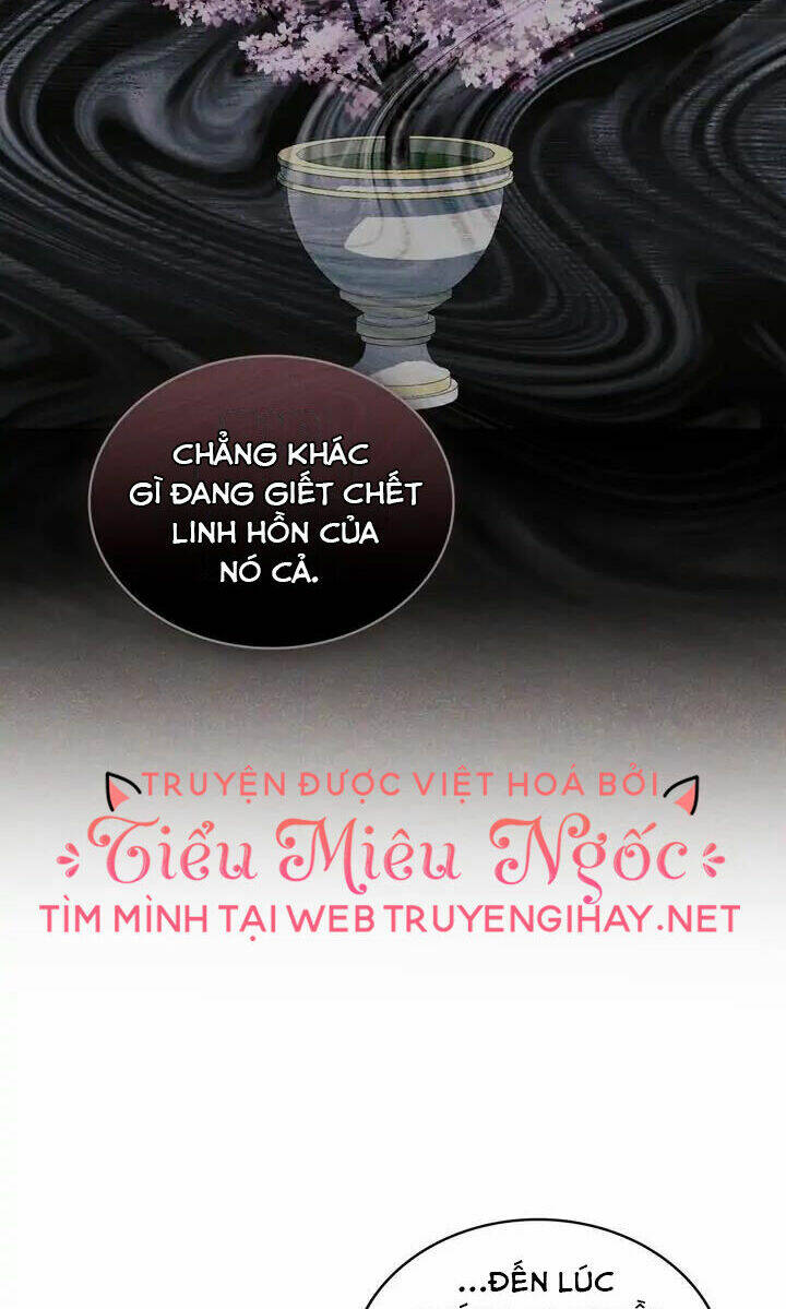 ánh sáng vàng của bình minh chapter 51 - Trang 2