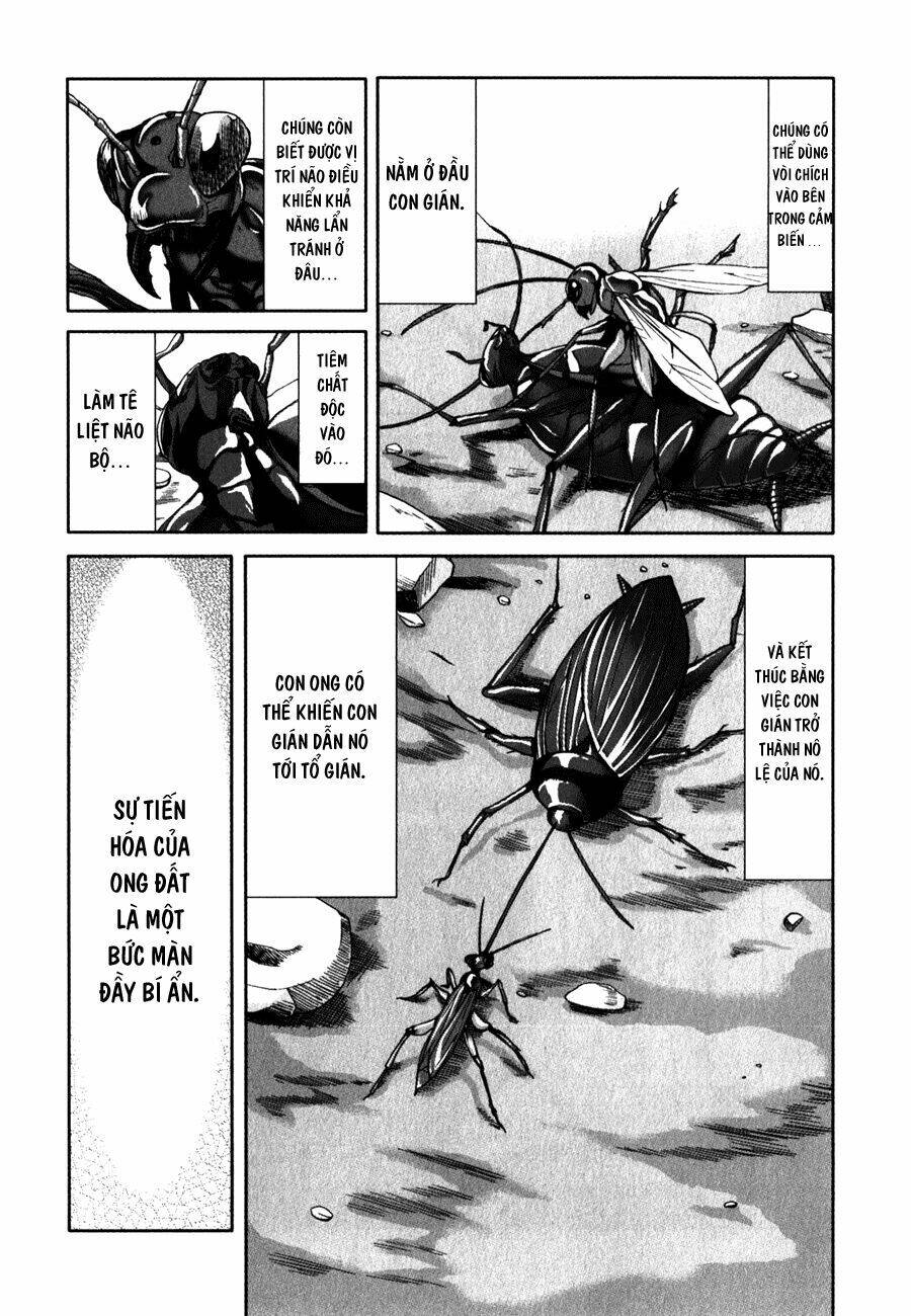 arachnid chapter 26 - Next chapter 27