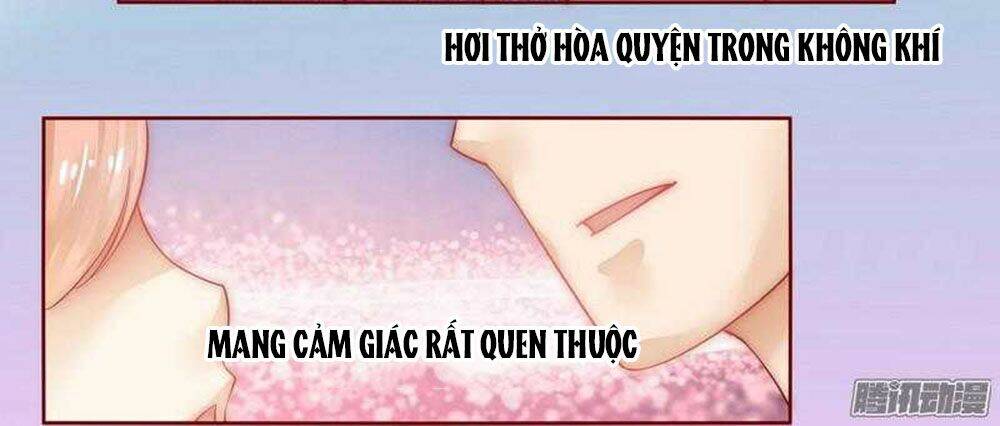 bá đạo tổng tài yêu tôi chapter 15 - Next chapter 16