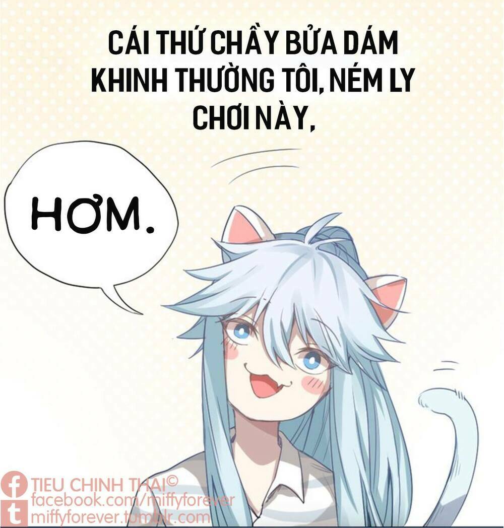 Bạn trai mèo Chapter 0.5 - Next Chapter 1