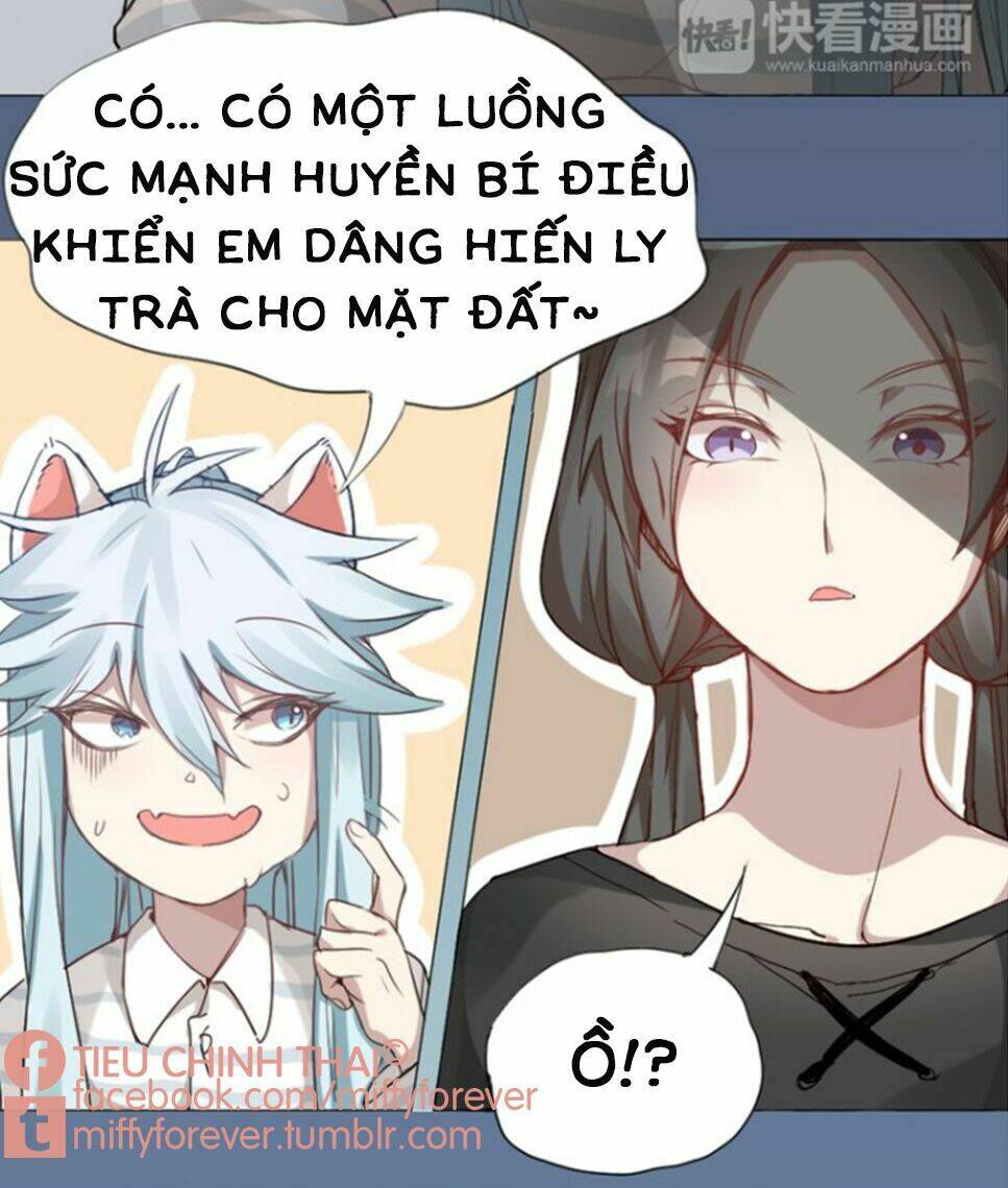 Bạn trai mèo Chapter 0.5 - Next Chapter 1