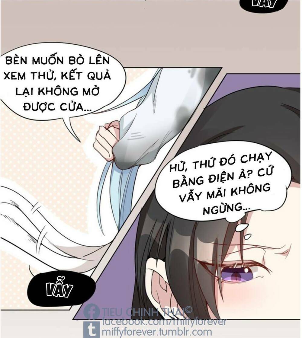 Bạn trai mèo Chapter 2 - Next Chapter 3