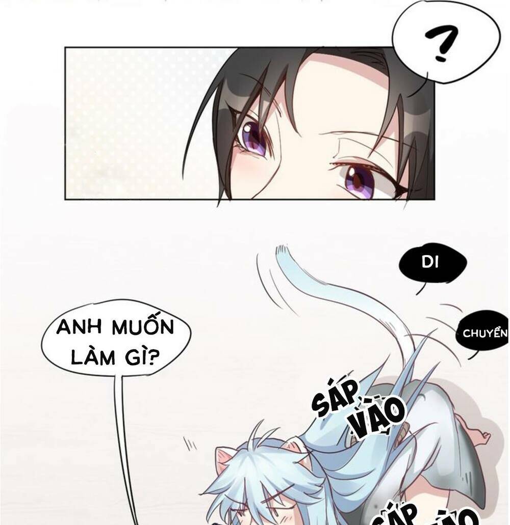 Bạn trai mèo Chapter 2 - Next Chapter 3