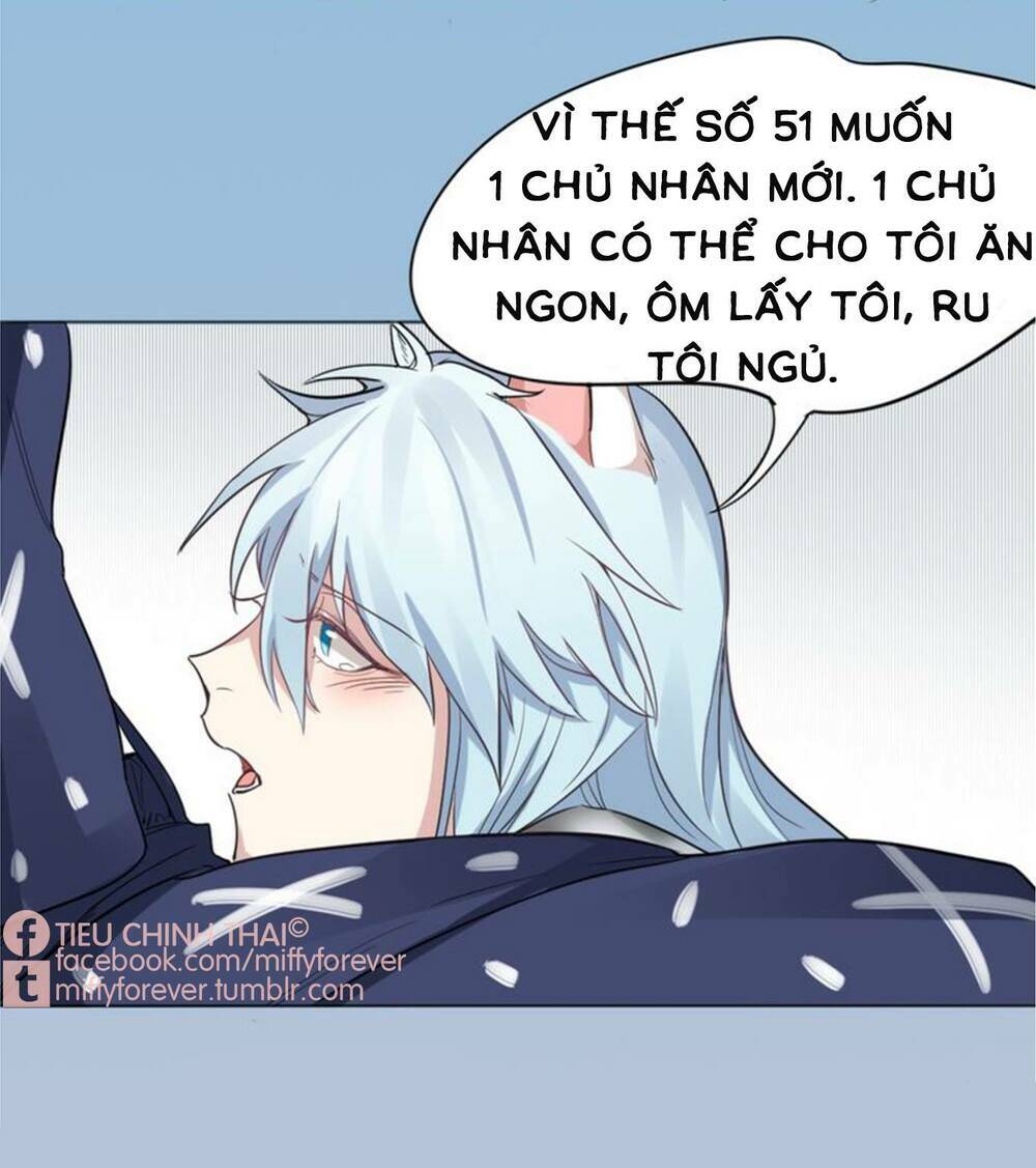 Bạn trai mèo Chapter 2 - Next Chapter 3