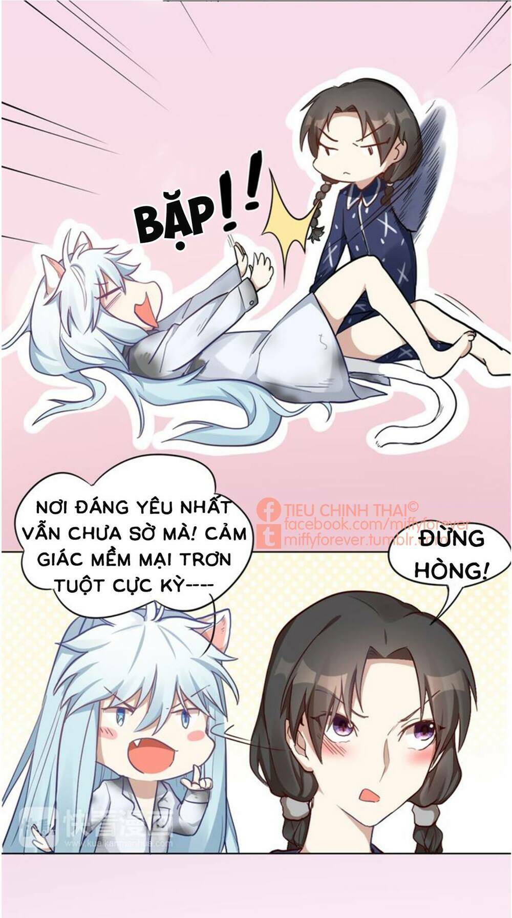 Bạn trai mèo Chapter 3 - Next Chapter 4