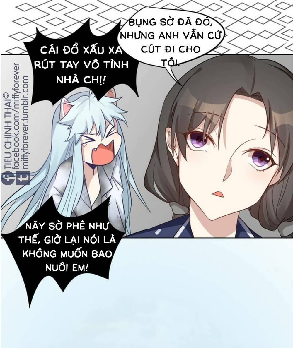 Bạn trai mèo Chapter 3 - Next Chapter 4