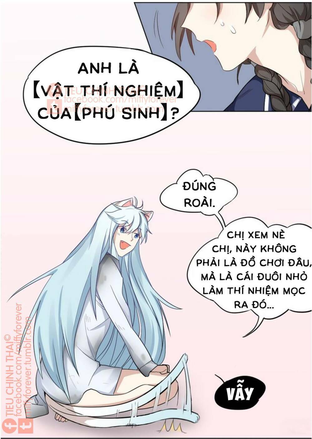 Bạn trai mèo Chapter 3 - Next Chapter 4