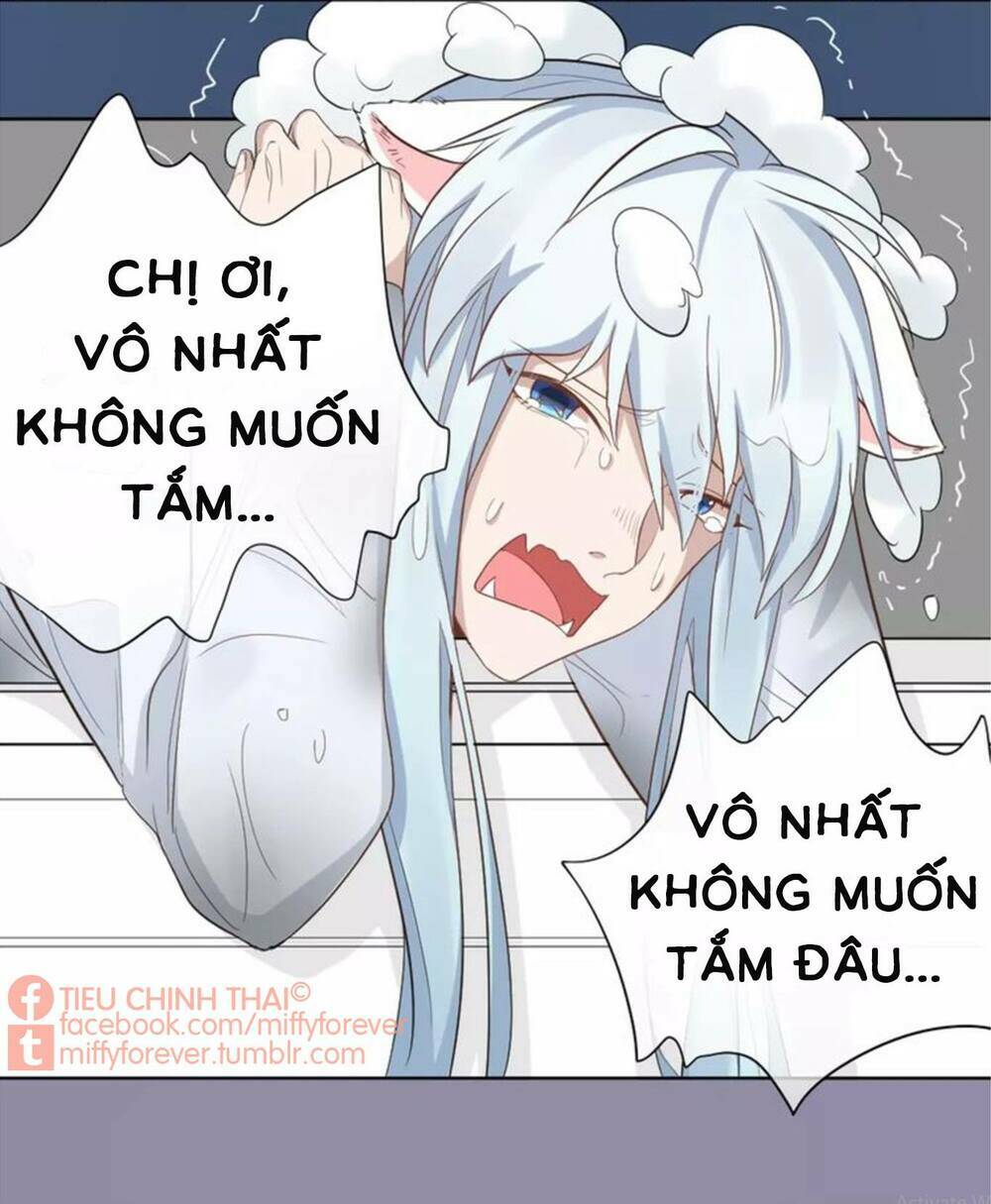 Bạn trai mèo Chapter 7 - Trang 2