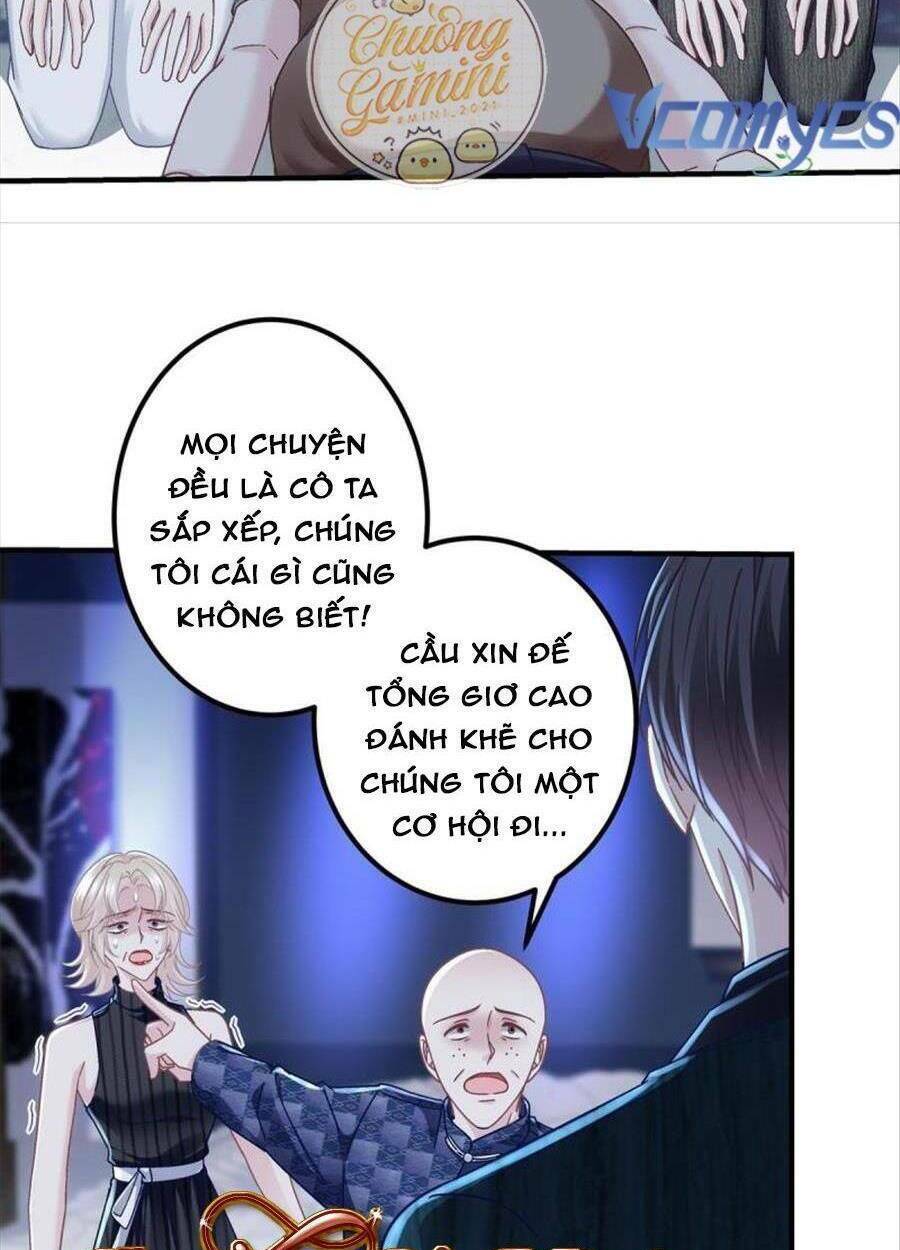 bảo bối của lão đại đã xuyên không trở về! chapter 95 - Next chapter 96