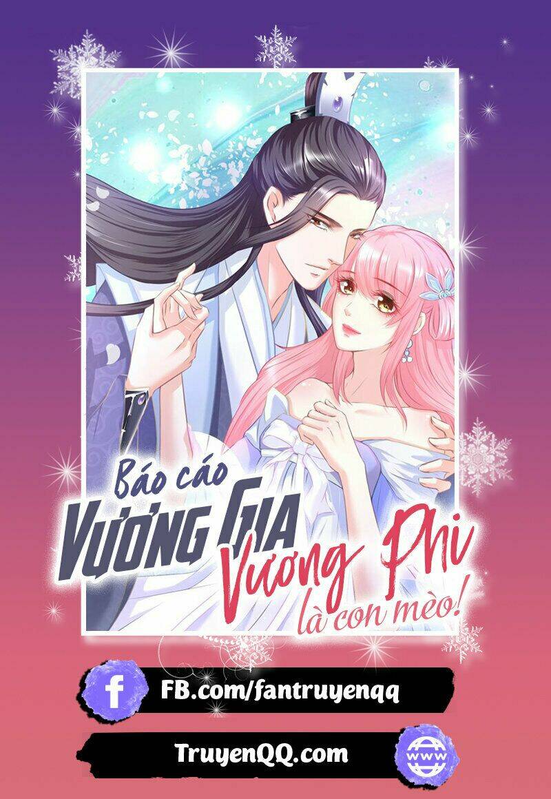 báo cáo vương gia, vương phi là một con mèo chương 3 - Next chương 4