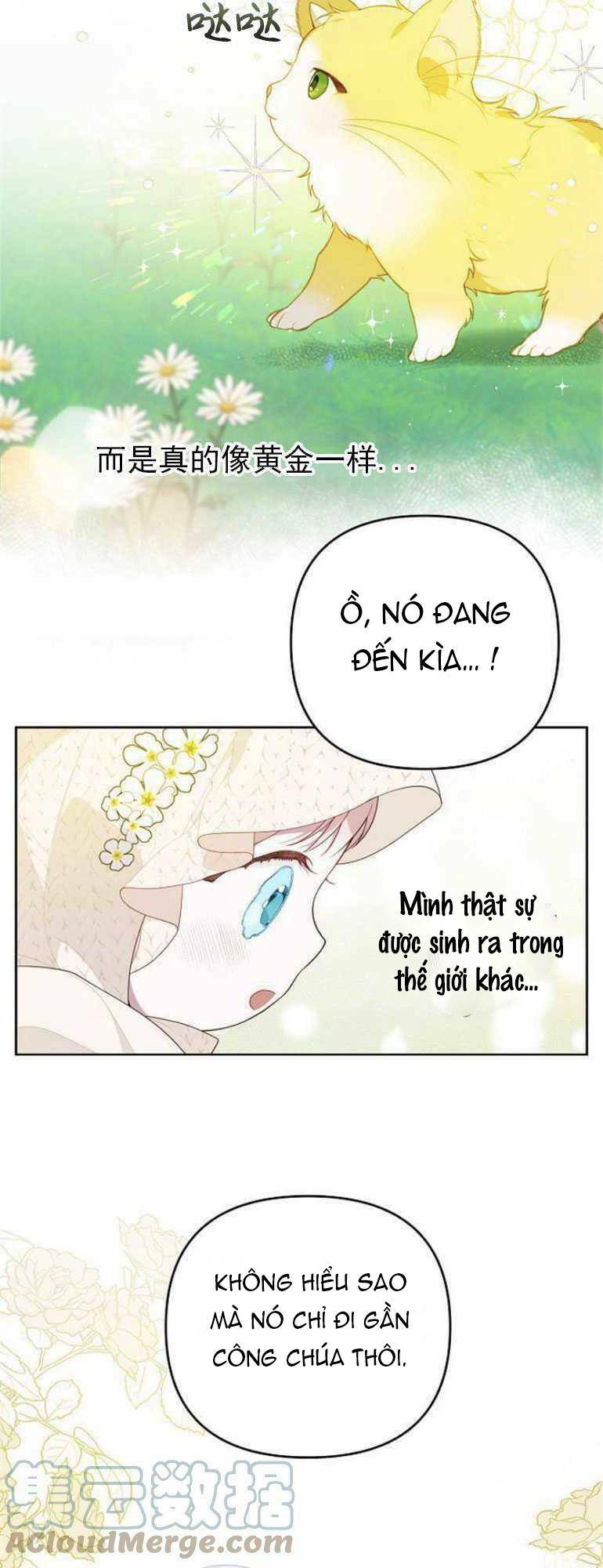 bạo quân baby chapter 5.2 - Trang 2