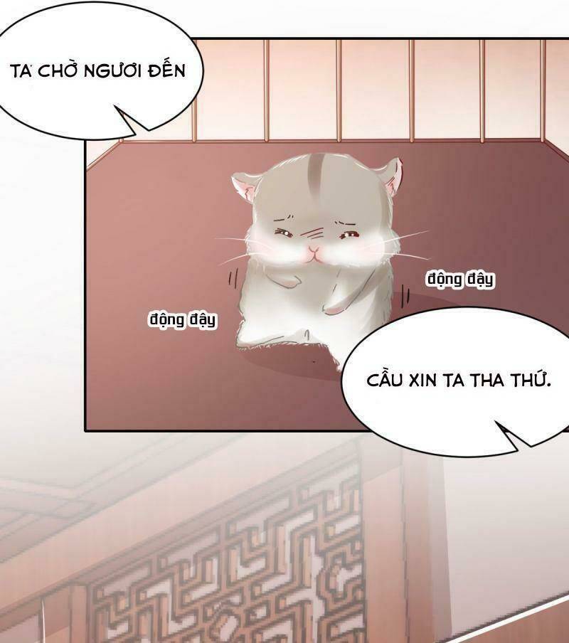 Bạo Quân Đừng Chạy, Công Chúa Muốn Vong Quốc Chapter 13 - Trang 2