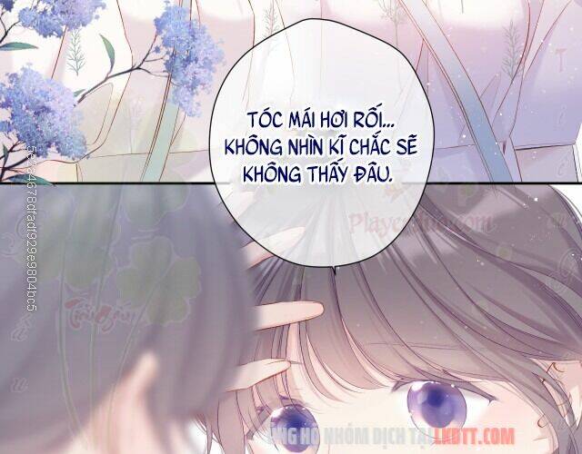 bảo vệ siêu sao của tôi chapter 79 - Trang 2