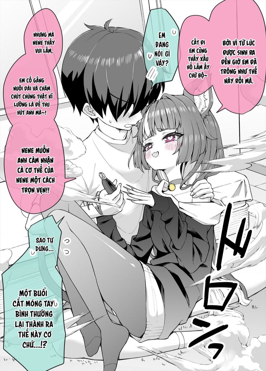 bé mèo yandere của tôi yêu tôi rất nhiều Chapter 7 - Next 