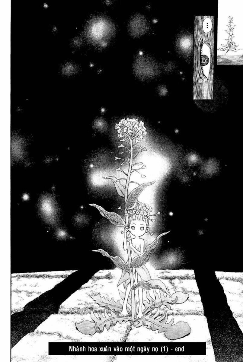 berserk chapter 328 - Trang 2