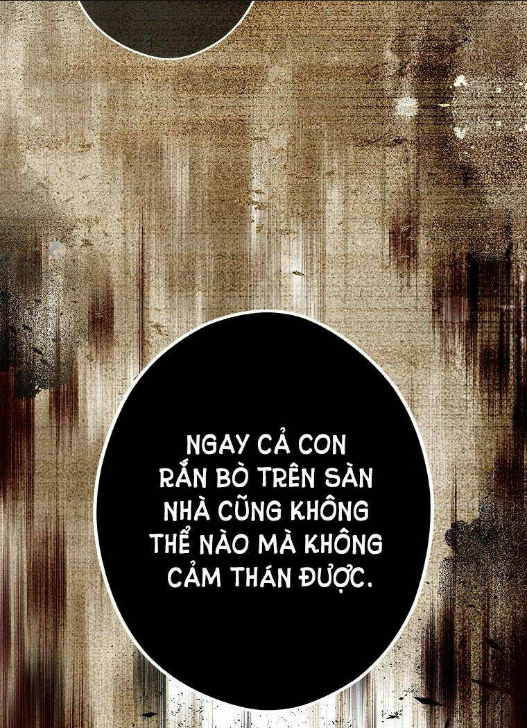 bí mật của quý cô chapter 55 - Trang 2