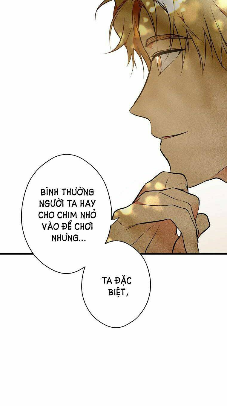 bí mật của quý cô chapter 55 - Trang 2