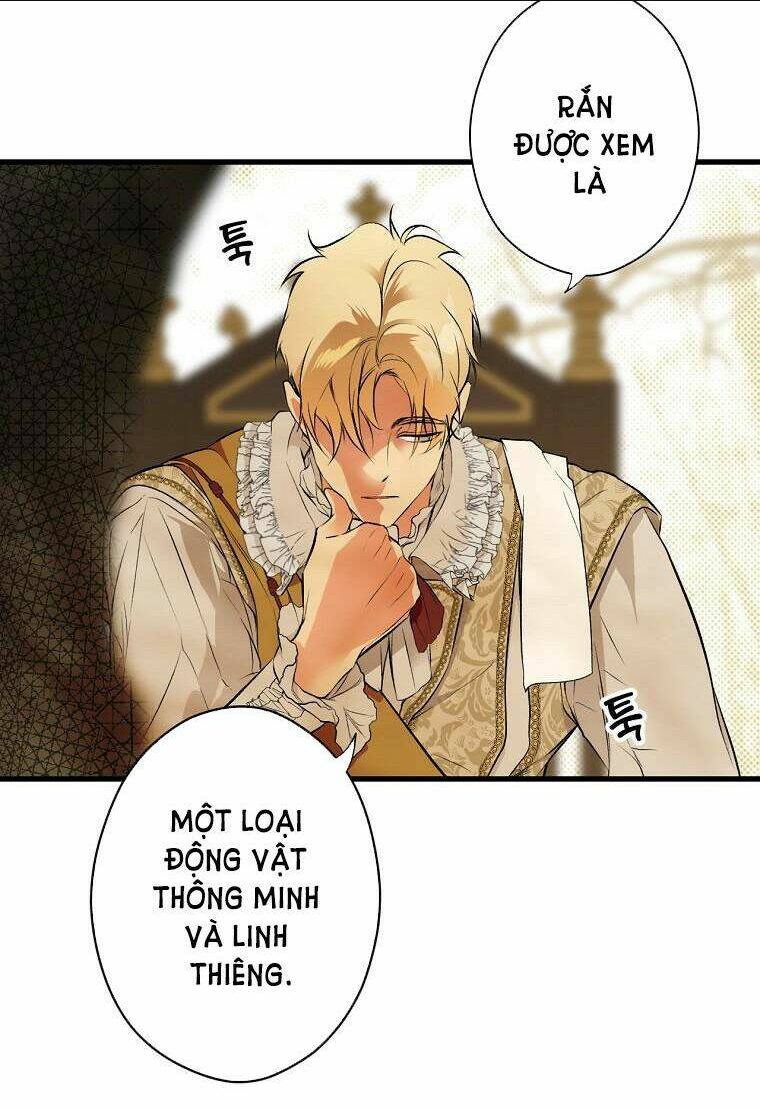 bí mật của quý cô chapter 55 - Trang 2