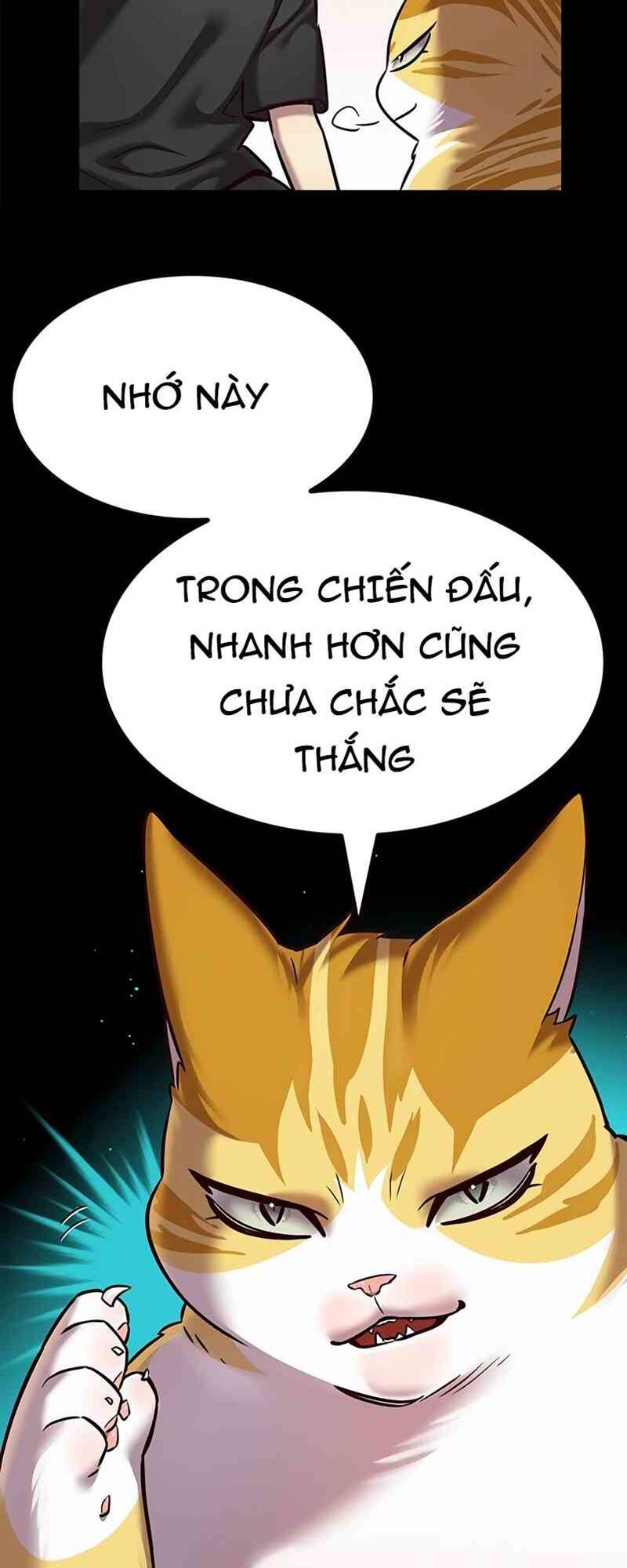 biến thân thành mèo chapter 244 - Trang 2