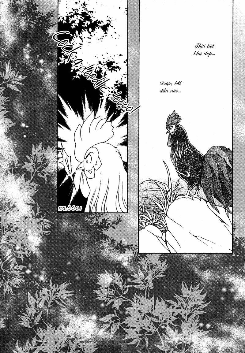 Bird Of Youth Chapter 7 - Next 