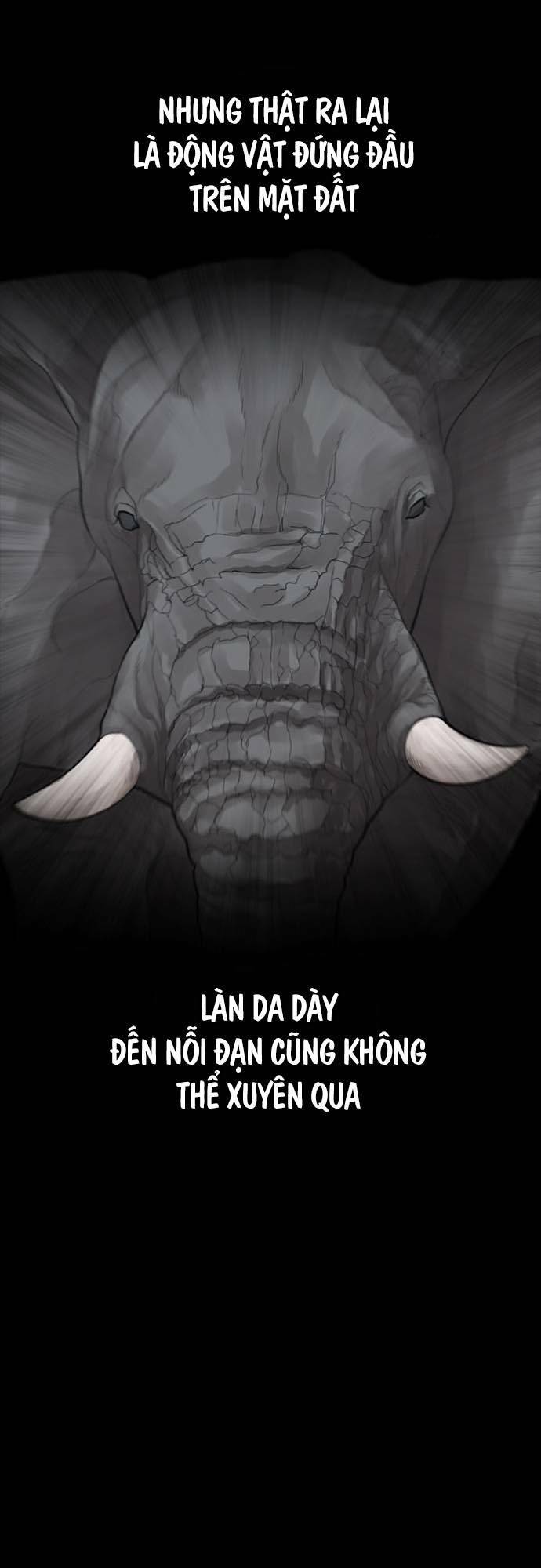 bố vạn năng chapter 66 - Trang 2