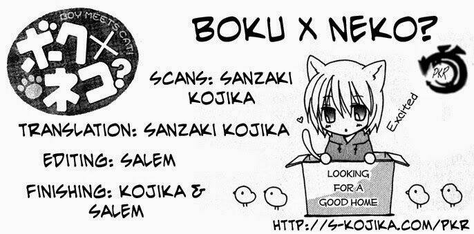 Boku X Neko? Chapter 3.1 - Next Chapter 3.2