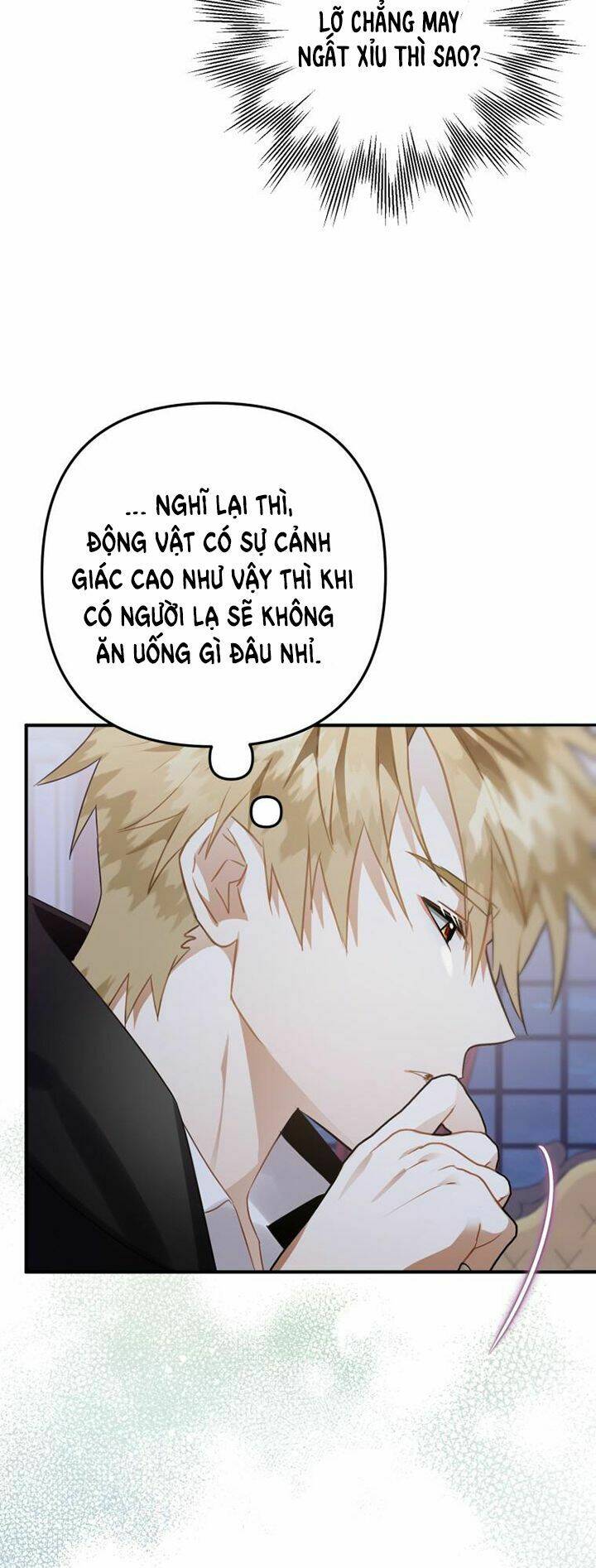 bỗng nhiên tôi trở thành quạ đen!! chapter 17 - Next chapter 18