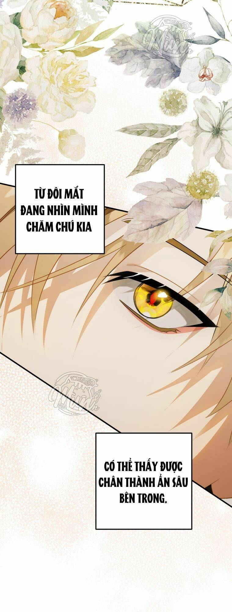 bỗng nhiên tôi trở thành quạ đen!! chapter 35 - Next chapter 36