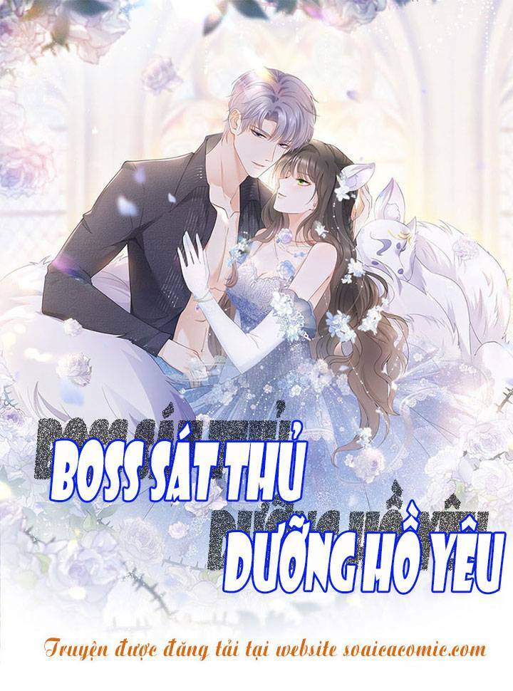 boss sát thủ dưỡng hồ yêu Chapter 27 - Trang 2