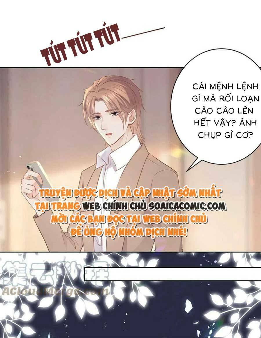 boss sát thủ dưỡng hồ yêu chapter 73 - Trang 2