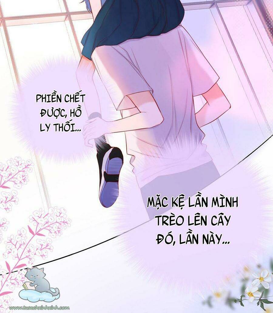 cạm bẫy của hồ ly chapter 17 - Trang 2