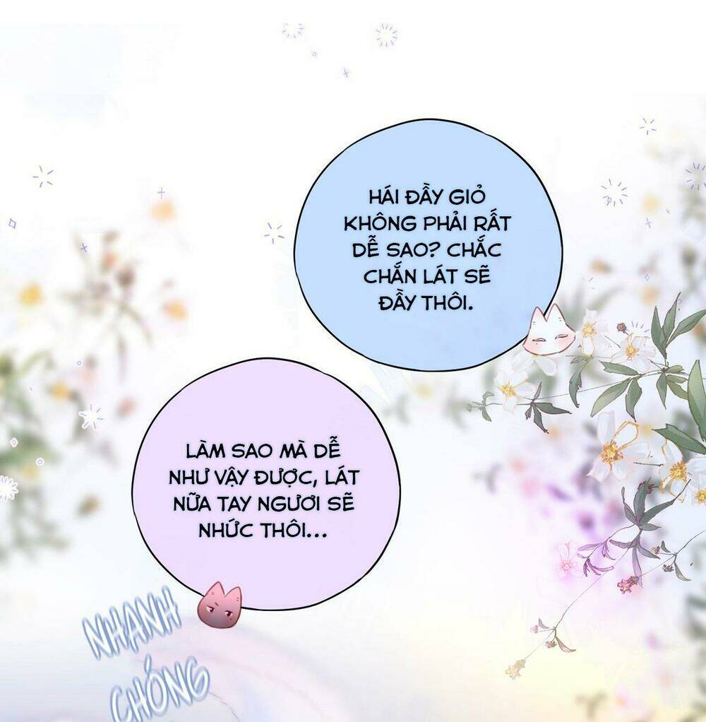 cạm bẫy của hồ ly chapter 23 - Trang 2