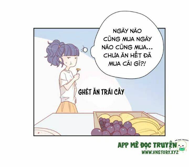 Cạm Bẫy Ngọt Ngào Chapter 76 - Next Chapter 77