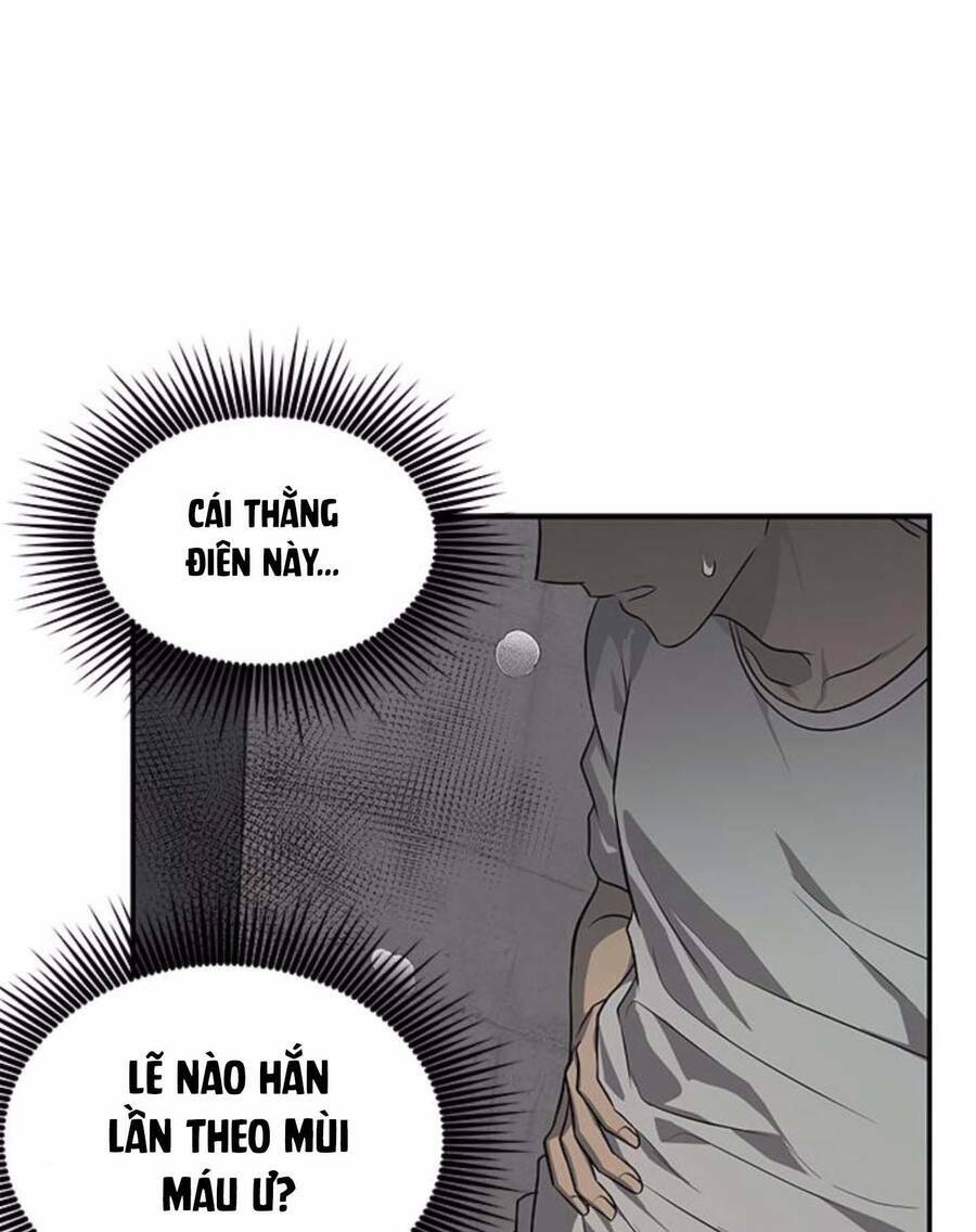 cạm bẫy chapter 153 - Next Chương 153