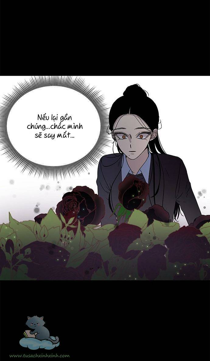 cạm bẫy chapter 22 - Trang 2