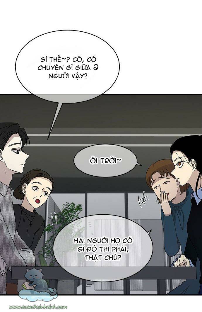 cạm bẫy chapter 22 - Trang 2